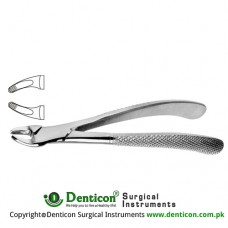 English Pattern Tooth Extracting Forcep (Child) Fig. 138 (For Upper Anteriors, Premolars and Roots) Stainless Steel, Standard